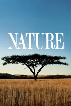 See the World with NATURE