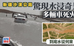 沙漠水浸奇景︱新疆塔克拉瑪干沙漠公路遭淹沒   網民：水從何來？