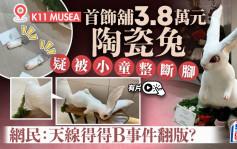 K11 MUSEA首飾店3.8萬元陶瓷兔遭小童弄斷腳 網民：天線得得B事件翻版