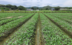 施政報告｜嘉道理農場憂北部都會區對生態造成不可逆轉影響