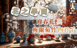 花之学问——迎春花与梅兰菊竹四君子｜专题故事