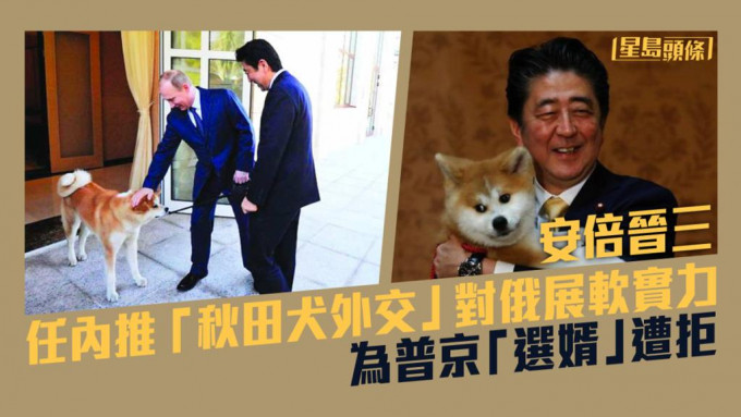 安倍晉三於任內曾利用「秋田犬外交」對俄羅斯展示軟實力。AP資料圖片