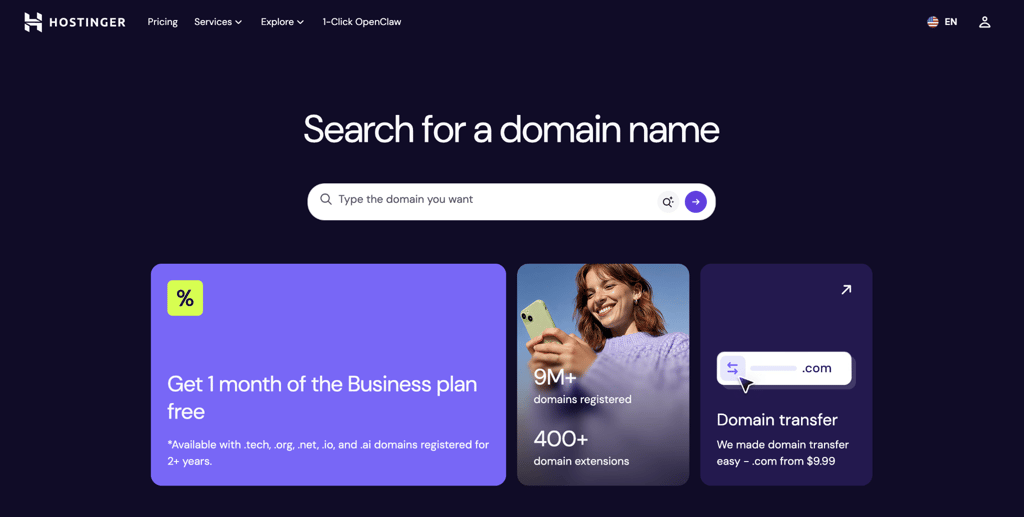 Hostinger Domain Name Search landing page