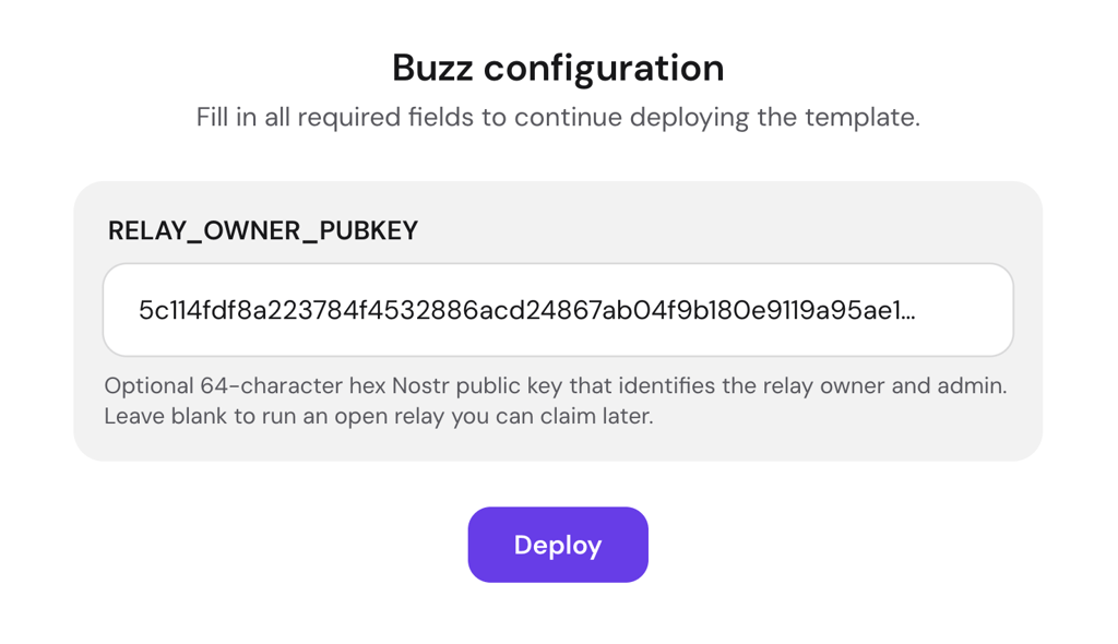 hpanel-buzz-configuration-relay-owner-pubkey Hostinger Buzz configuration page with the relay owner public key field and Deploy button