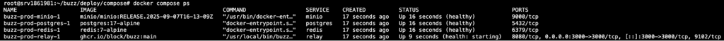 terminal-docker-compose-ps-buzz-services Terminal output of docker compose ps showing all four Buzz services running