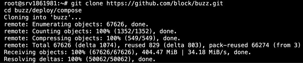 terminal-git-clone-buzz-repository Terminal output of cloning the Buzz repository from GitHub