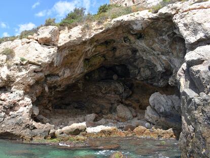 Neanderthals consumed mollusks as early as 115,000 years ago