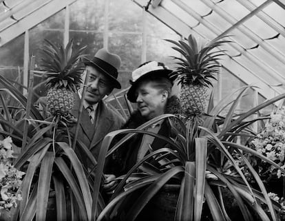 Una pareja observa unas piñas que crecen en un invernadero de Northwood, Middlesex (Reino Unido), en 1936. 