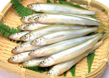 Smelt, csak enni