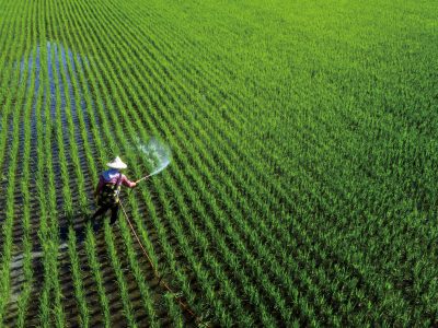 面對氣候變遷除了淨零排放，也需要搭配調適策略，應對極端氣候更頻繁發生的現況，維持農業生產保障糧食安全。（攝影╱林清華）