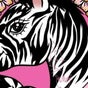 The Punktured Zebra