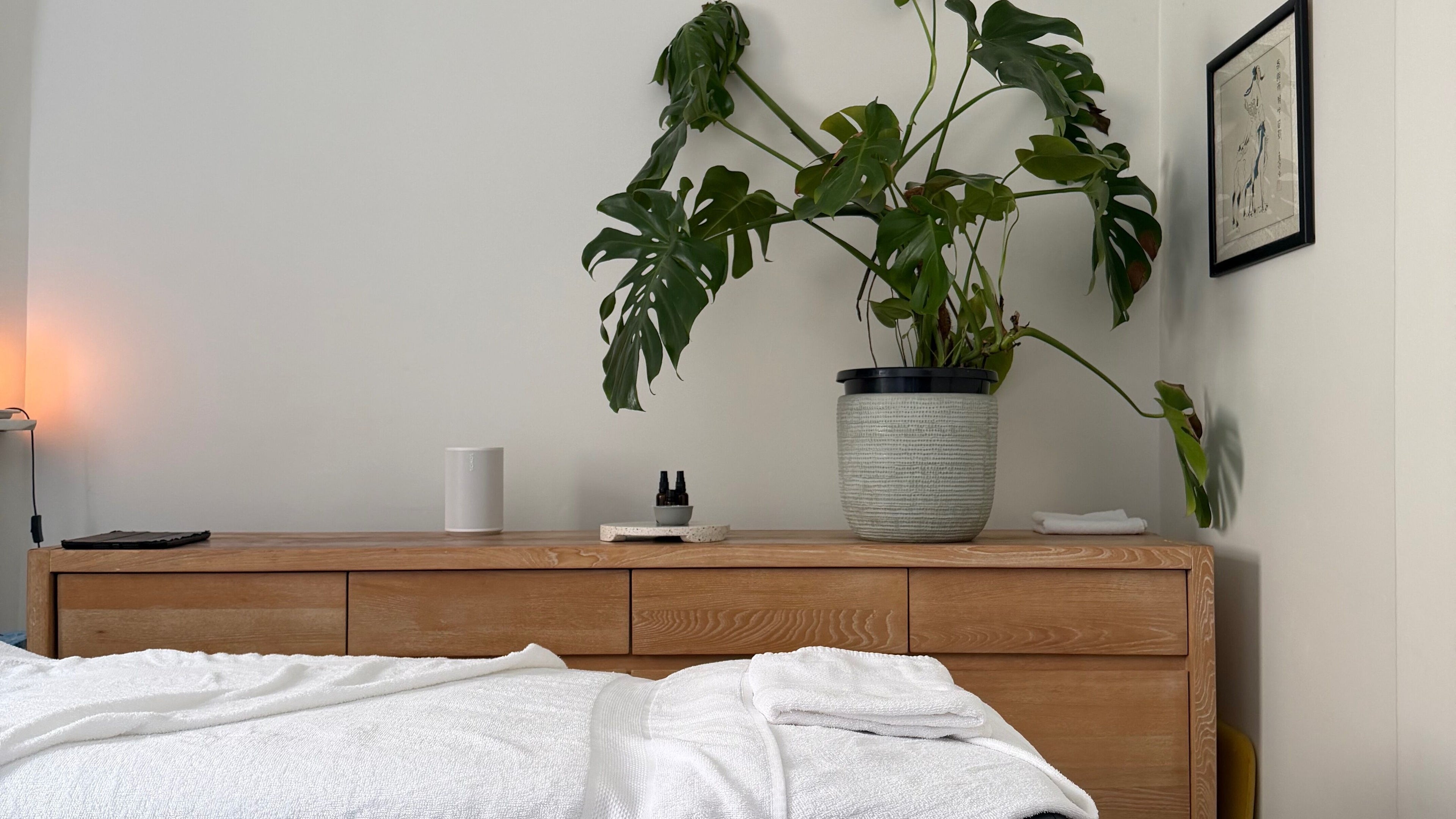 Tranquil massage room at Restoree | Holistic Remedial Massage, Bondi, New South Wales, AU with potted plant decor.