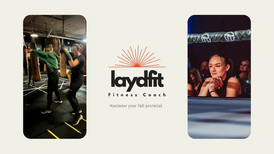 LayDFit