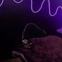ilashstudioo