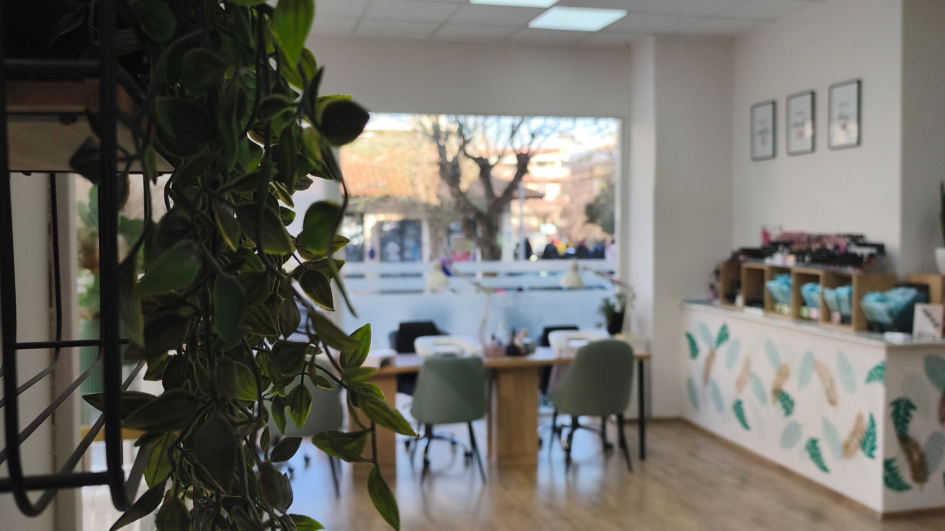 Εσωτερικό του Philocaly Nails & Beauty Studio στην Καλαμαριά, GR με πράσινα φυτά και φωτεινό χώρο.