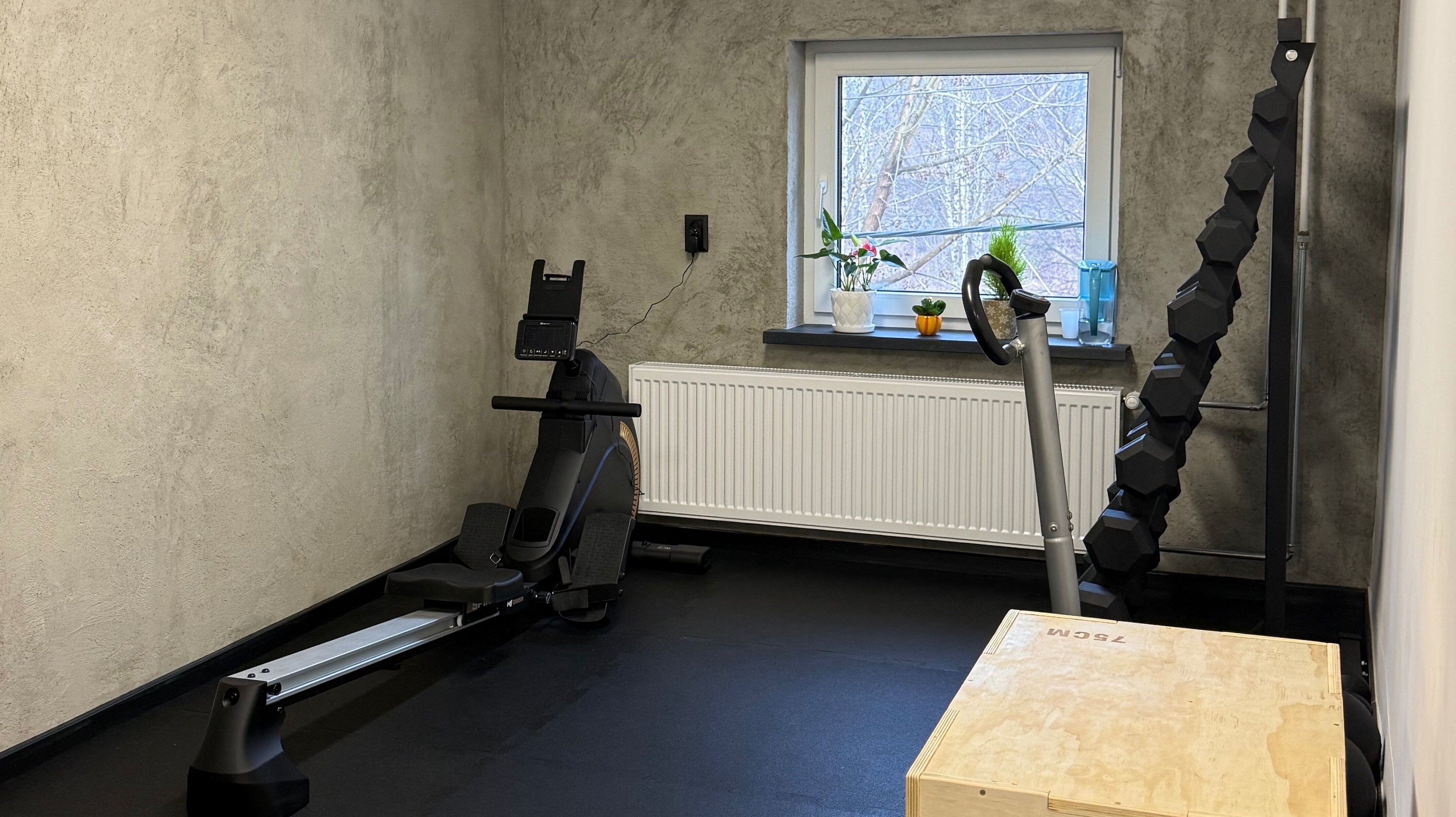 Sprzęt fitness w CORE FLOW Studio Treningowe, Sosnowiec, Województwo Śląskie, PL z widokiem na okno i drabinkę.
