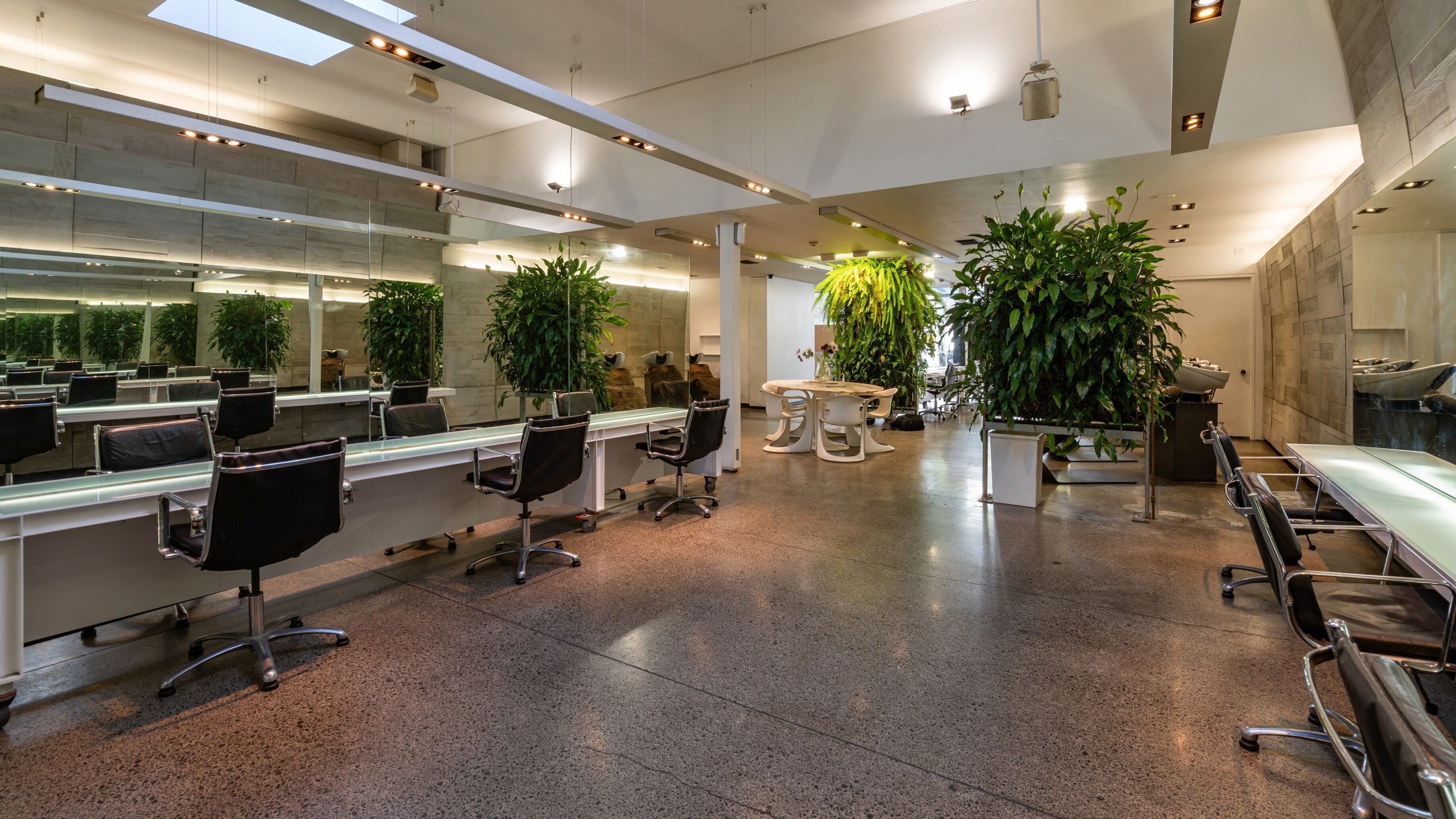 Relaxing salon interior at Stephen Marr, Auckland, NZ, featuring chairs, mirrors, and lush plants.