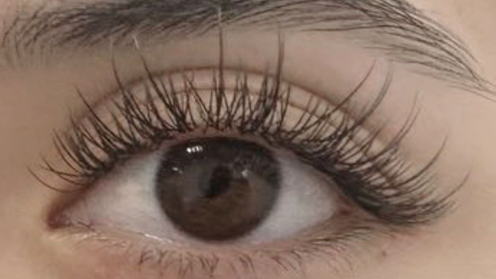 Close-up of enhanced eyelashes at Lamirada Eyelash, La Mirada, California, US showcasing beauty expertise.