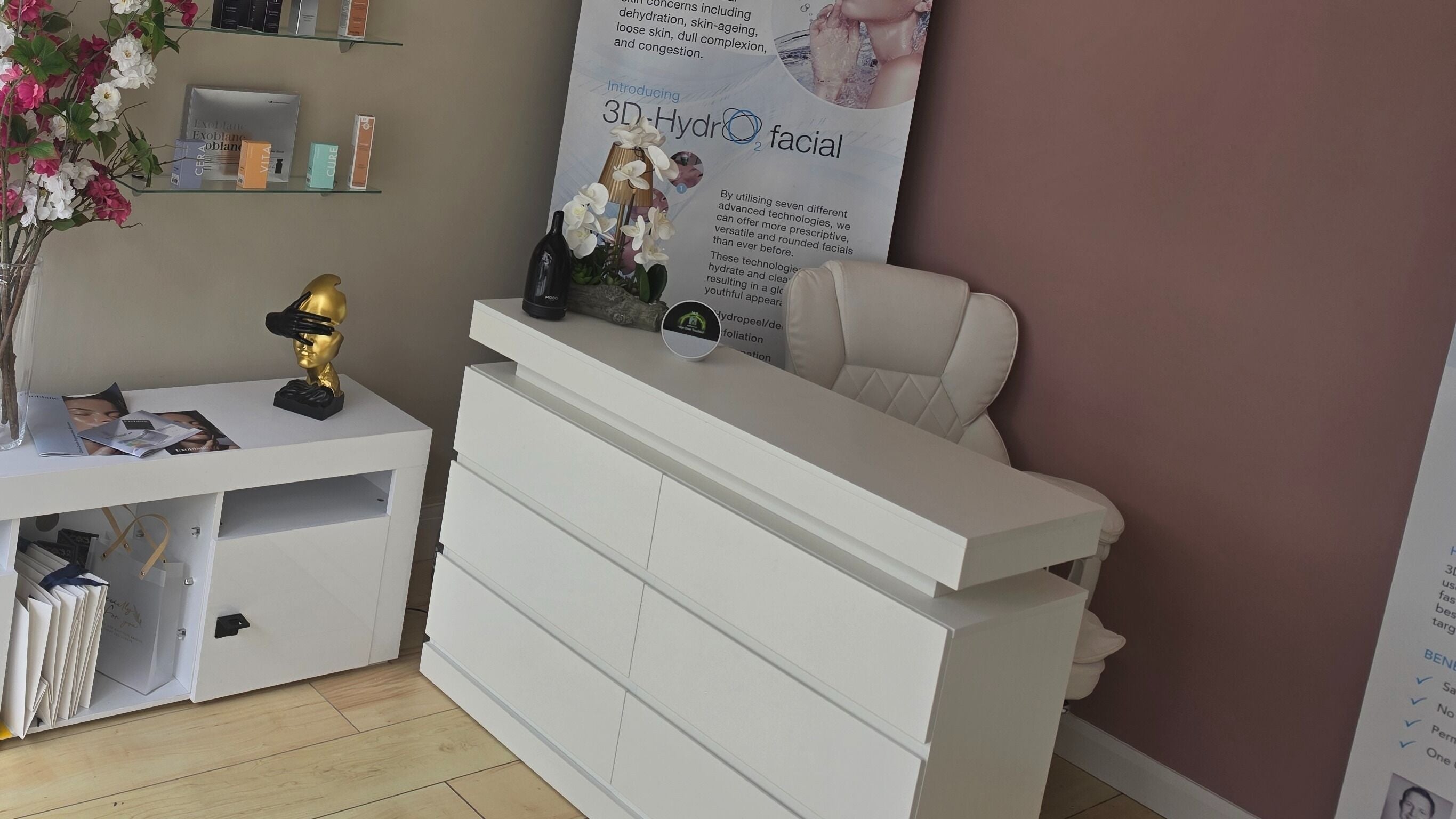 Elegant reception area of Skin Science 1066, Hastings, England, GB, with decor and facial product displays.