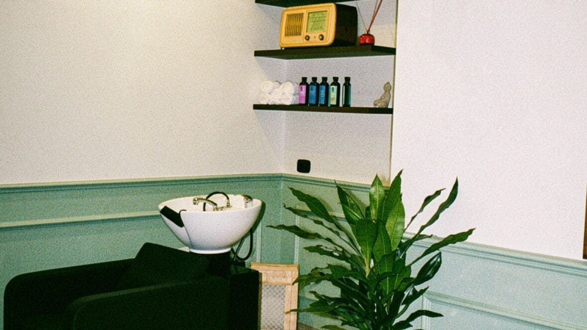 Interno di La Barbiera di Venosa, Venosa Basilicata IT, con lavatesta, scaffali eleganti e pianta decorativa.