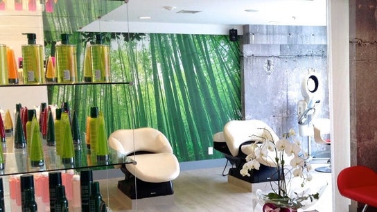House Of Yoko