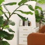 Brazilian Beauty Spa