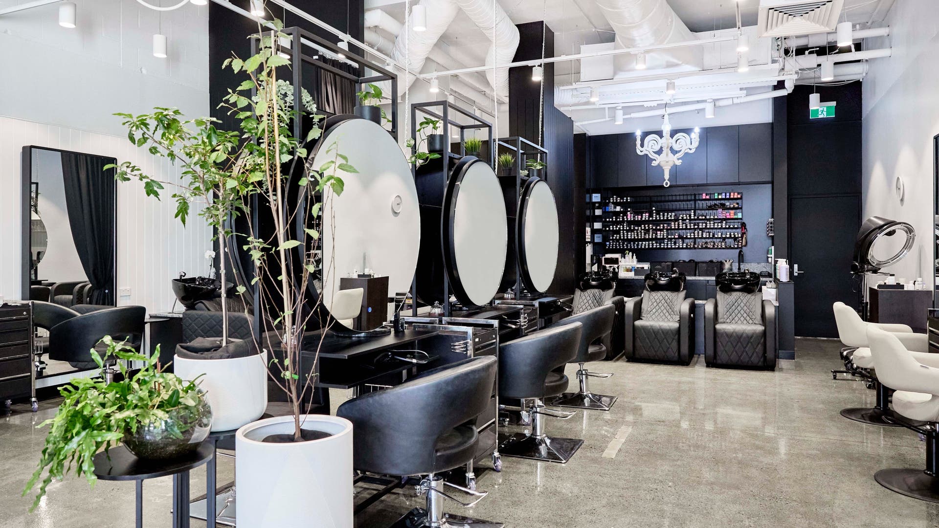 Modern interior of Studio 23 GC in Biggera Waters, Queensland, AU with stylish salon setup and lush plants.
