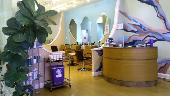 Salon Soto