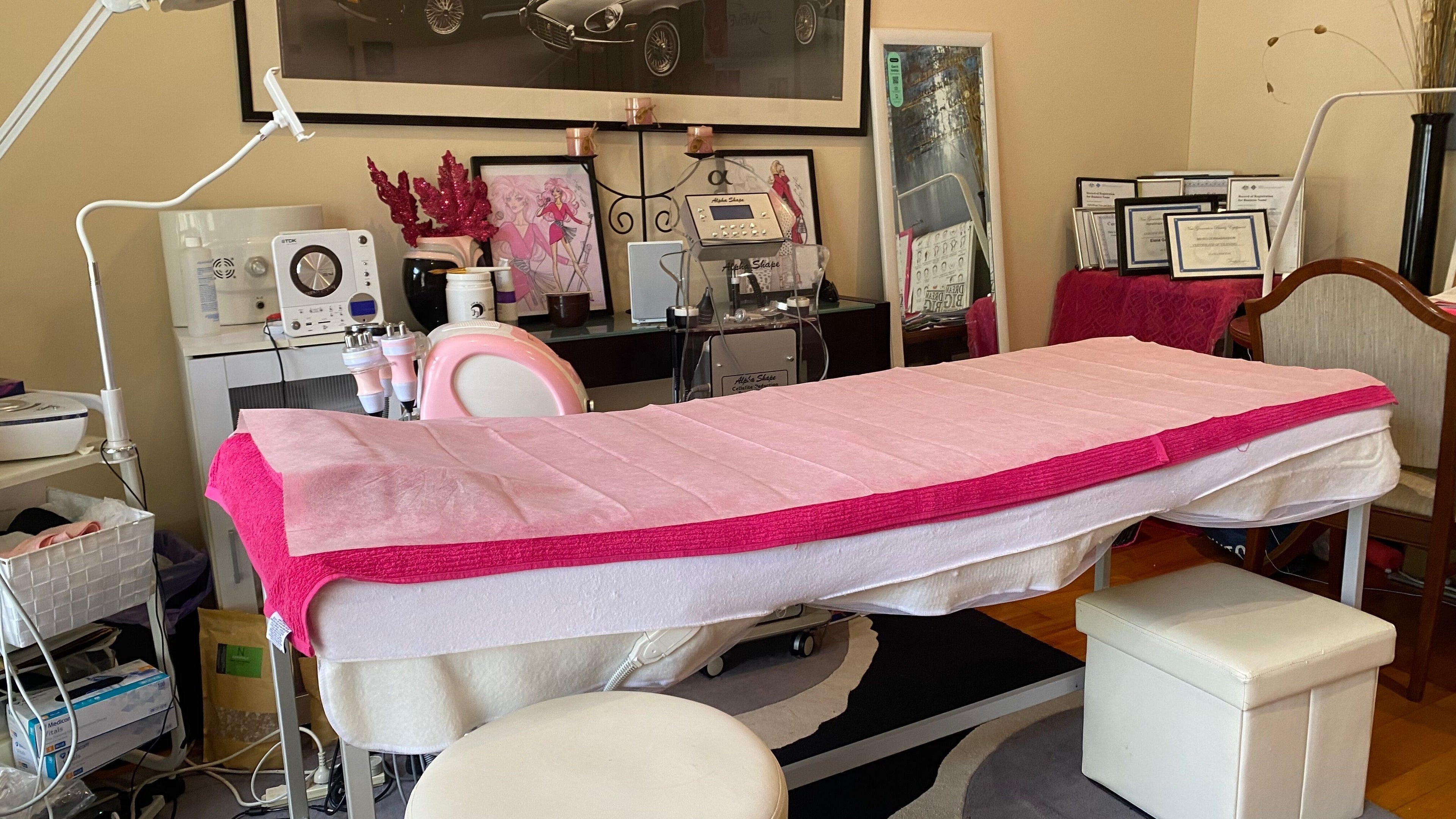 Cozy treatment room at Alphashape Face and Body Studio, Norwood, South Australia, AU, featuring elegant decor.