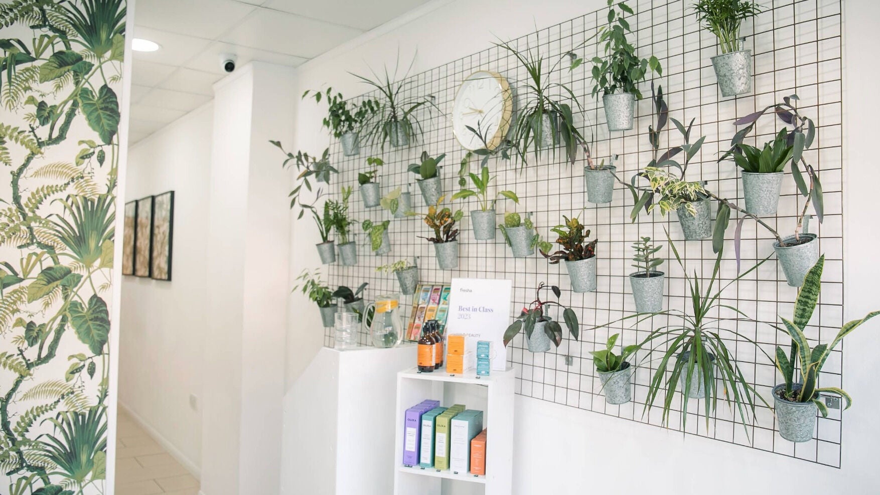 Green plants on a decorative wall at Wild Beauty in London, England, GB, enhancing a serene wellness ambiance.