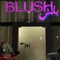 Blush Salon