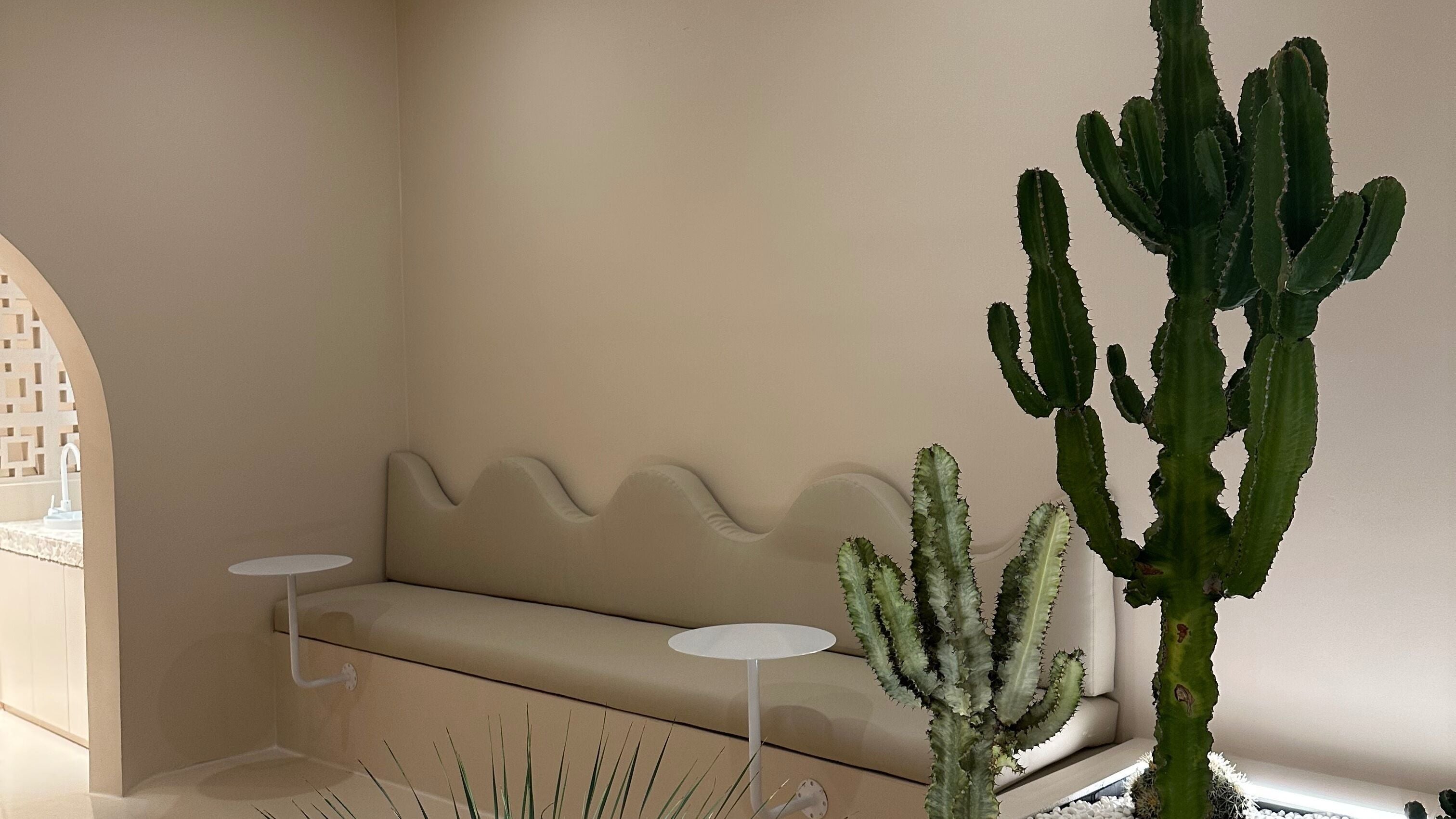 Stylish lounge with cacti at Eyecandy South Yarra, Melbourne, Victoria, AU, offering serene beauty and wellness.