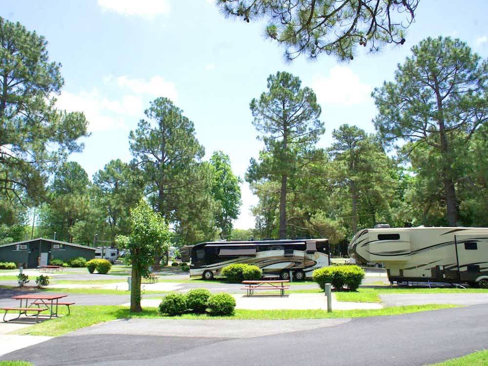 A trailer and motorhome parked in RV sites