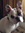 member photo member photo