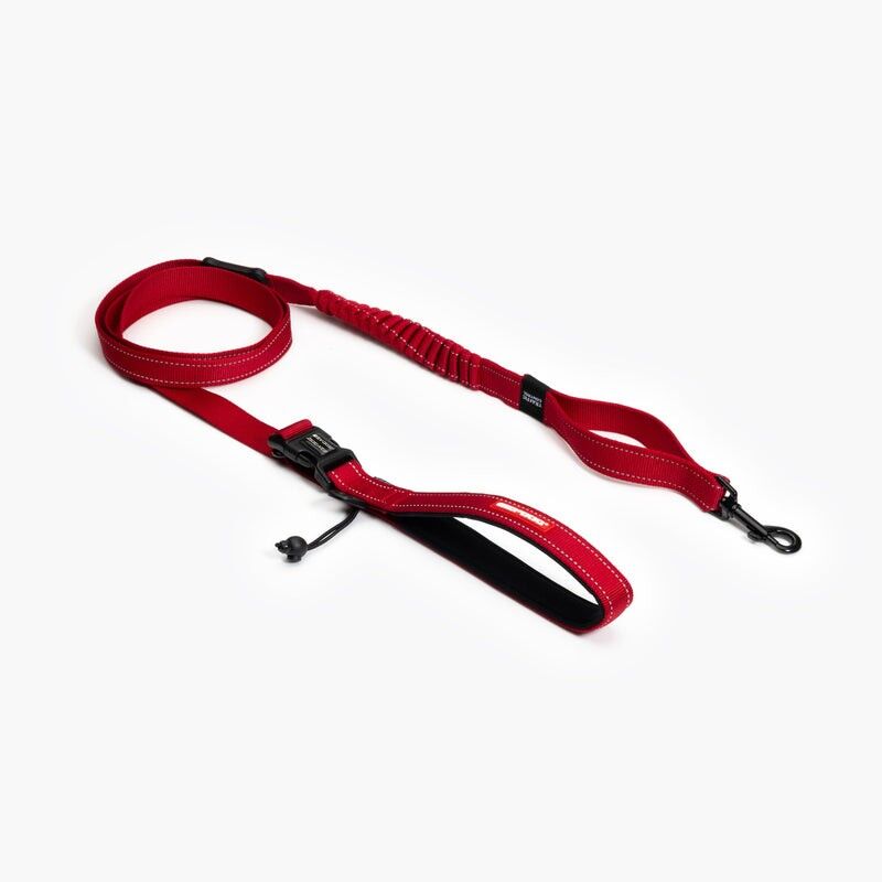 Road Runner Leash - Hundeleine
