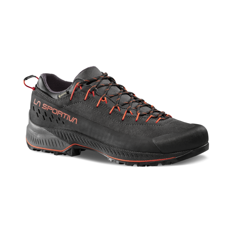 TX4 Evo GTX - Approachschuhe - Herren