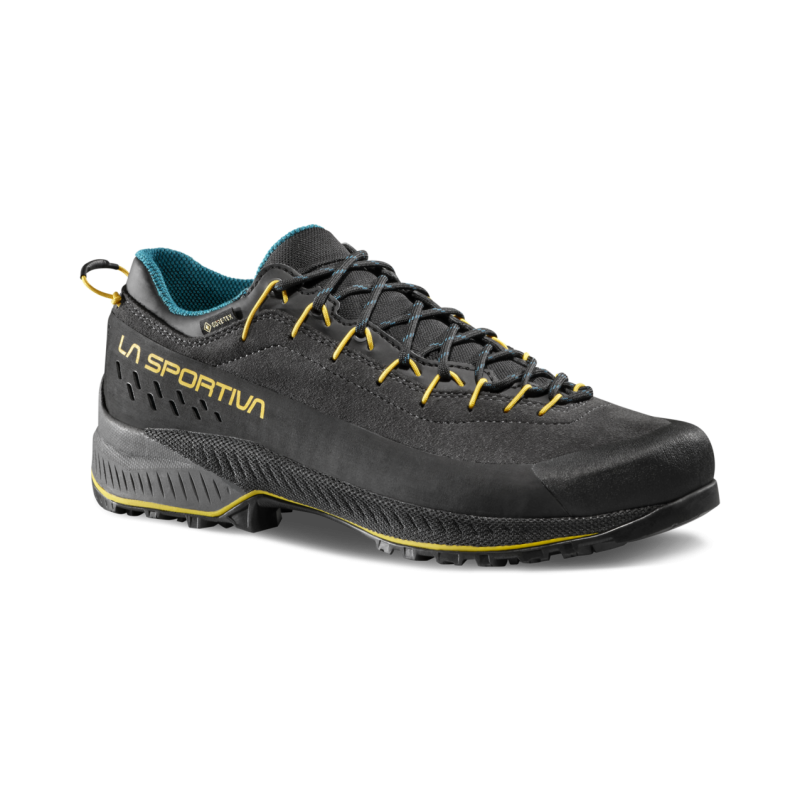 TX4 Evo GTX - Approachschuhe - Herren