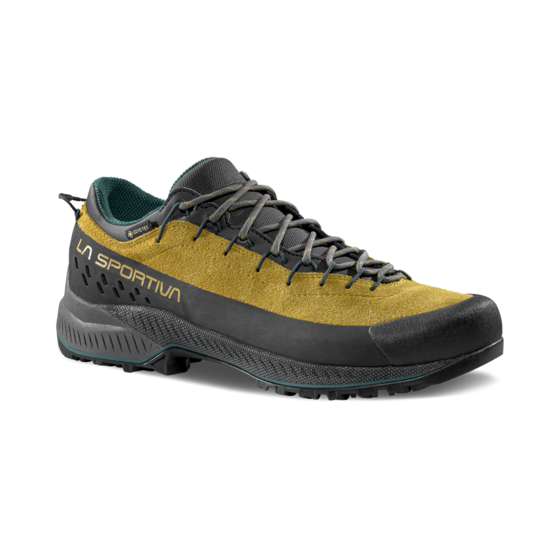 TX4 Evo GTX - Approachschuhe - Herren