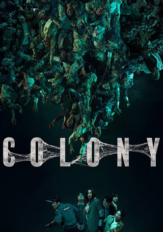 Colony