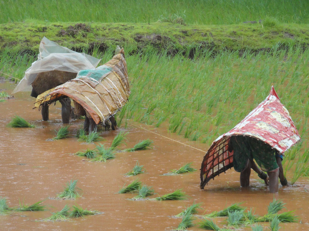 Asia: Resources