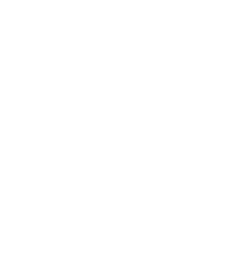 SWAN AI STUDIOS 