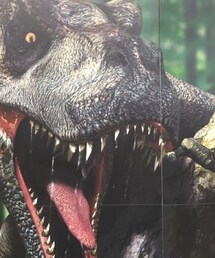 T-REX | その他