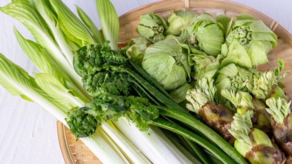  栄養たっぷりの【春の山菜】食べないと損！栄養効果と「アク抜きをなしにできる調理法」を栄養士が解説 