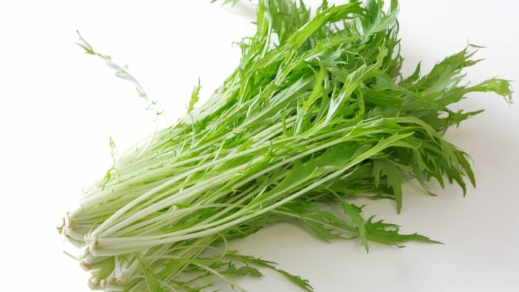 「水菜、生で食べるとお腹を壊すって本当？」生食する際の５つのポイントを管理栄養士が解説
