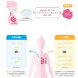 ミルテル