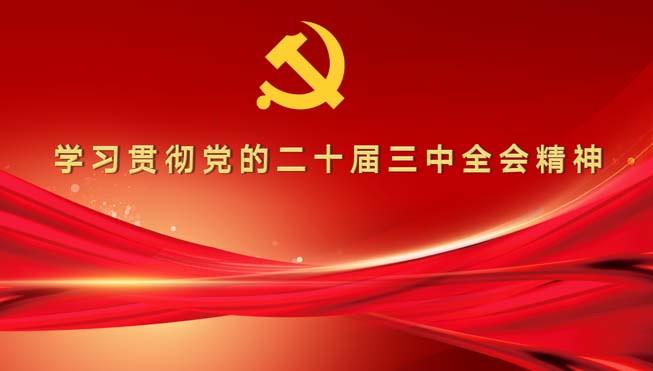 学习贯彻党的二十届三中全会精神