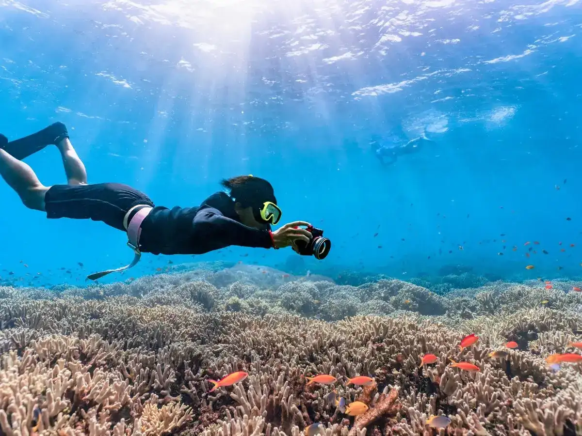 6 best scuba diving destinations in the world:Image