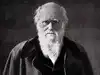 Quote of the day by Charles Darwin: 'A man who dares to waste one hour of time has not discovered the value of life'