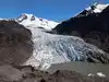 4 out of 5 glaciers may be lost by 2100: Study