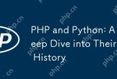 PHP and Python: A Deep Dive into Their History